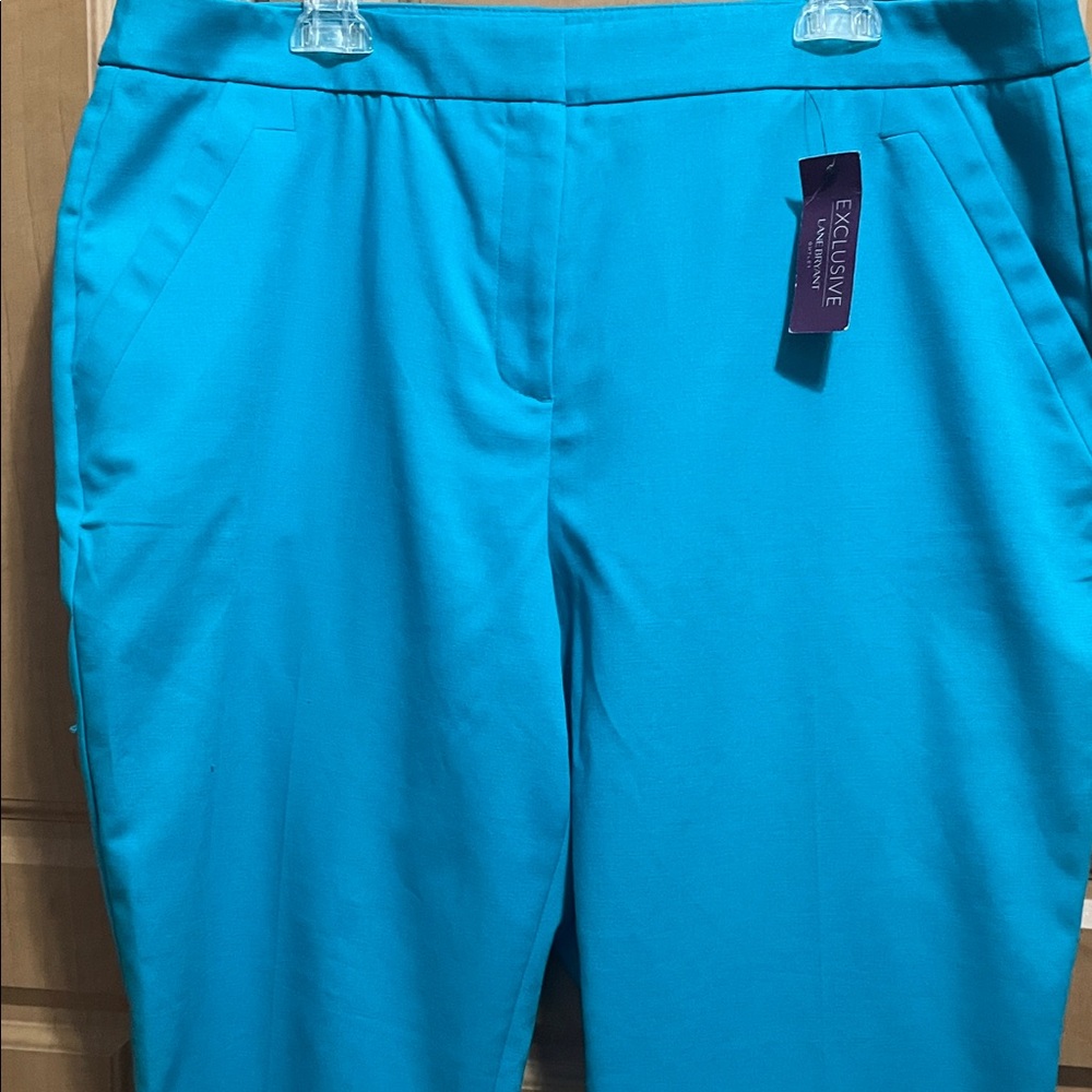 Lane Bryant Ankle Pants Women's Blue Size 18